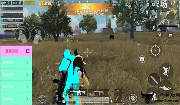 和平精英盗墓者辅助心柔