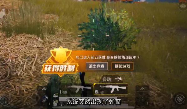 杨毅和平精英最强辅助是谁