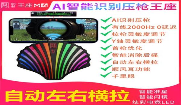 和平精英有键盘辅助器吗