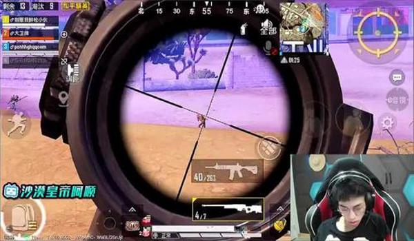 阿顺和平精英6倍压枪 阿顺和平精英6倍压枪