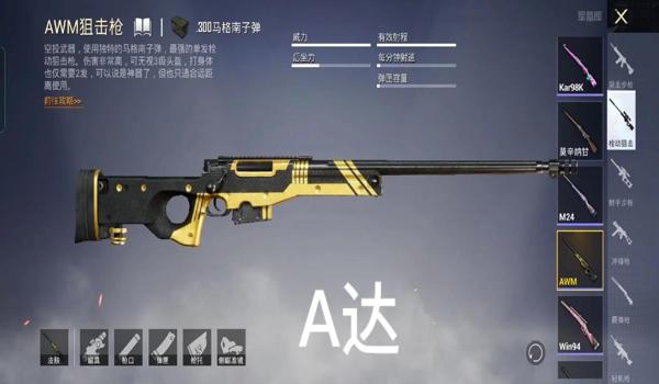 和平精英无限皮肤辅助器