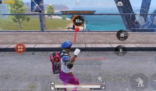 和平精英营养师辅助器下载