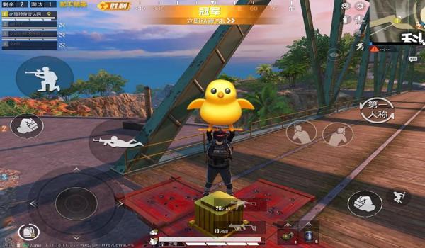 和平精英有哪些辅助好用