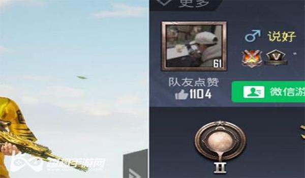 日尼玛和平精英辅助卡密