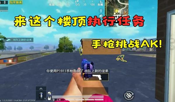 和平精英女枪辅助视频大全