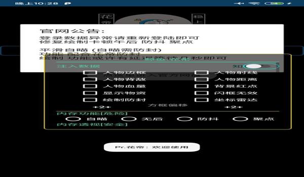 和平精英直装辅助破解网