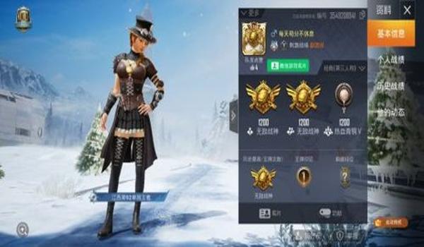 麒麟团队和平精英战神辅助