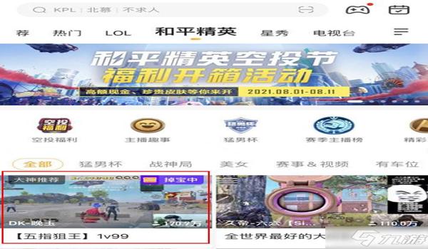 和平精英开了辅助就闪退