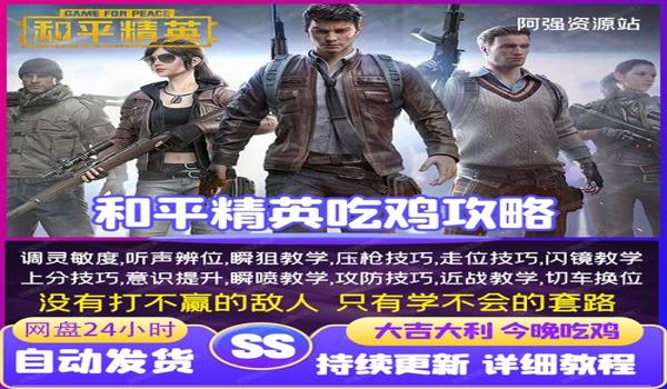 和平精英的车辆辅助怎么开