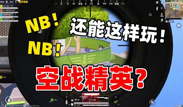 和平精英队友全程打辅助