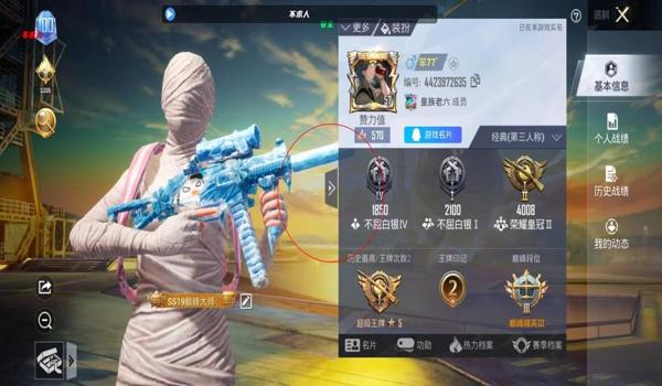 和平精英真装辅助软件免费