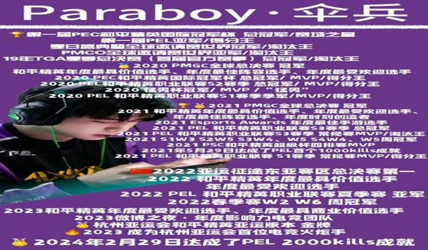 和平精英平板辅助京东自营