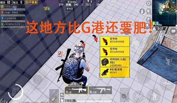 和平精英三级辅助有哪些