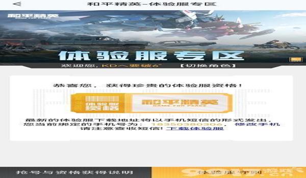 和平精英体验服辅助功能