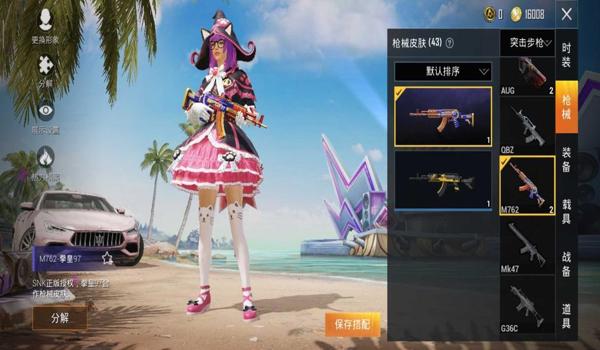 和平精英蔷薇辅助2023