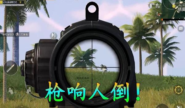 和平精英自带辅助瞄准枪