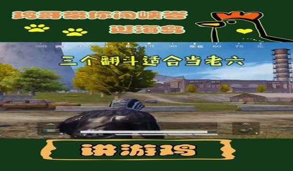 和平精英天堂辅助怎么用