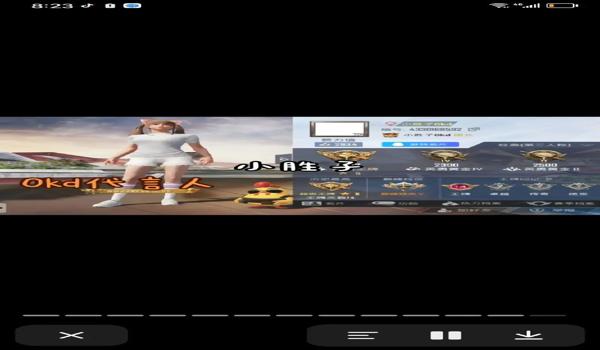 和平精英主播用的辅助装备