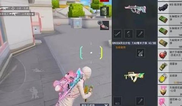 和平精英追踪辅助test