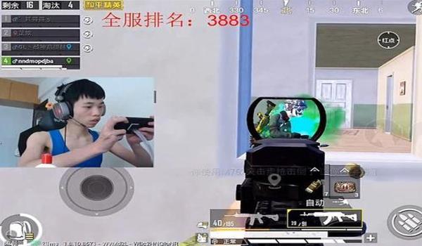 鲨鱼辅助器下载和平精英 鲨鱼辅助器下载和平精英