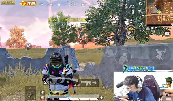 和平精英辅助型主播推荐