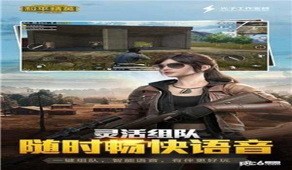 和平精英七凉辅助提卡网