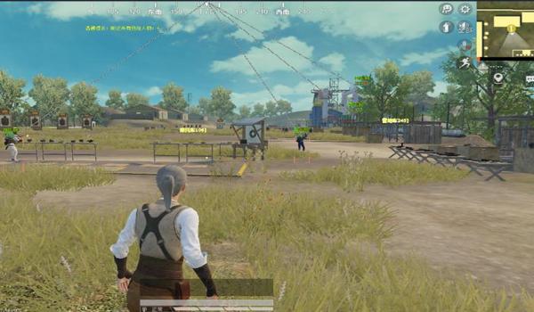 和平精英辅助by小李是谁