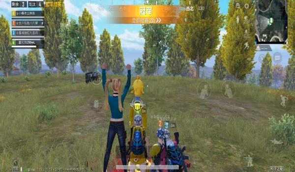 和平精英辅助的用法有哪些