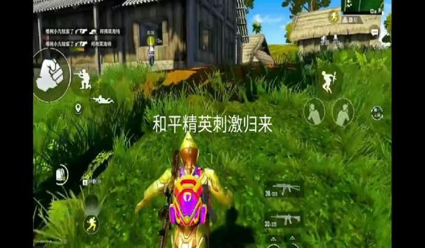 和平精英官方游戏辅助工具