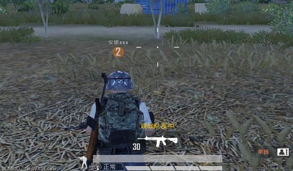 麻花辅助和平精英怎么用