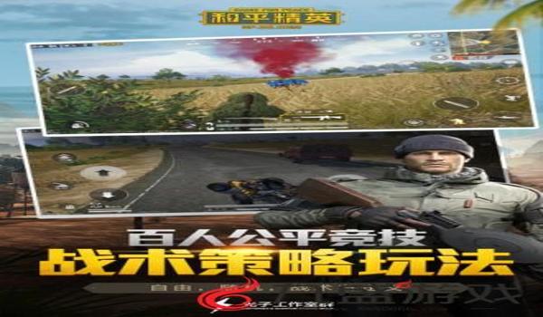 和平精英童话镇辅助卡密