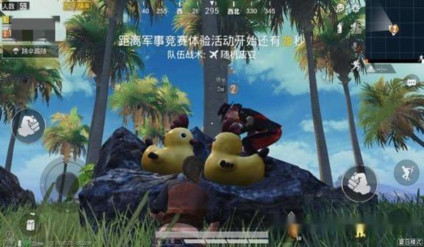 和平精英小黄鸡辅助怎么用