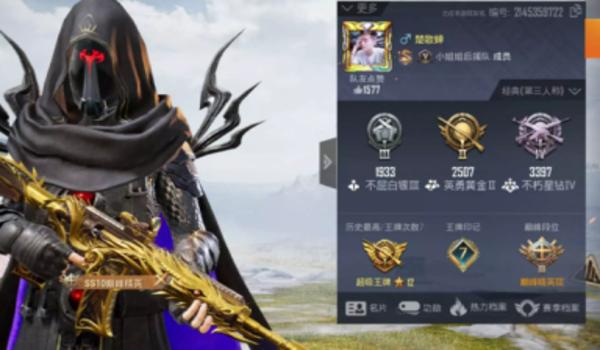 和平精英国际服领主辅助