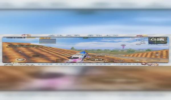 和平精英棒棒糖辅助作者