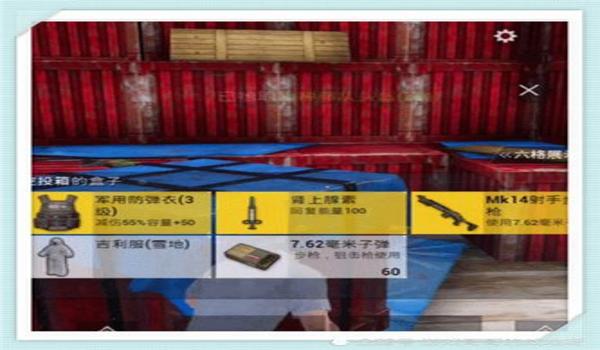 和平精英鸡肋辅助小说推荐