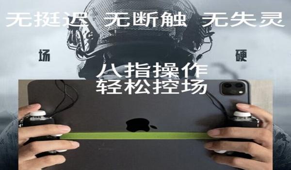 和平精英最特别的辅助是谁