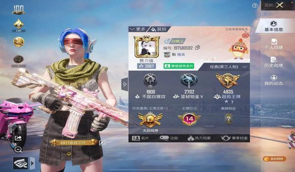 和平精英游戏辅助软件