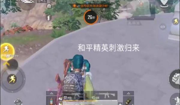 和平精英孤勇者辅助下载