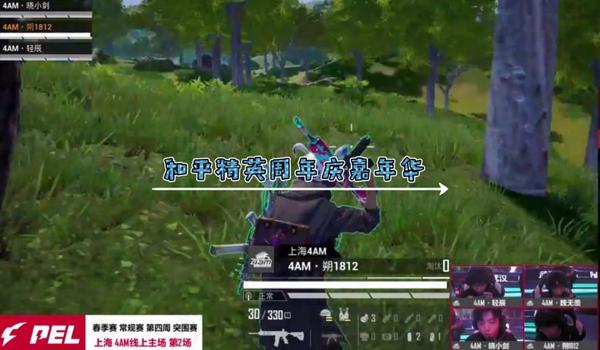 和平精英嘉年华辅助教程