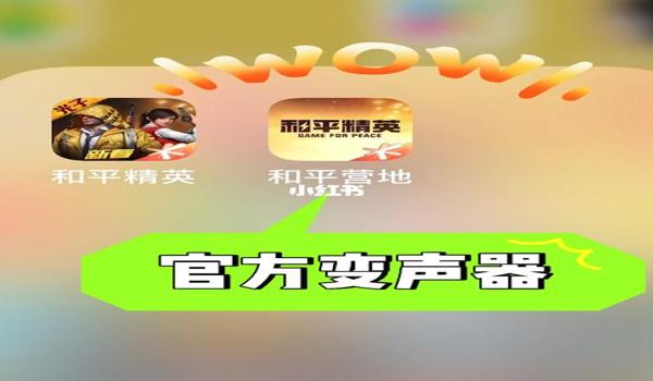 最好的和平精英辅助器