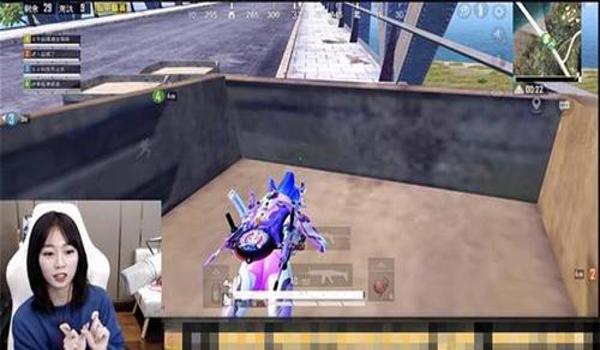 和平精英变态辅助和框架