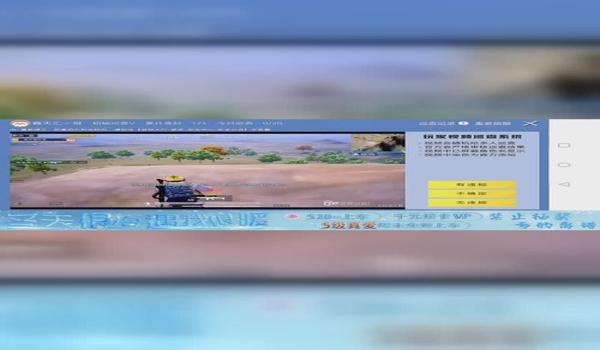 和平精英端游辅助YY