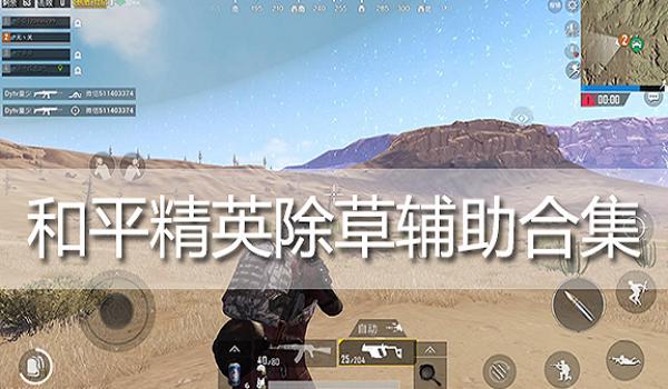 和平精英辅助怎样做出来的