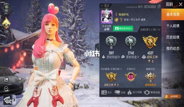 和平精英水蜜桃透视辅助