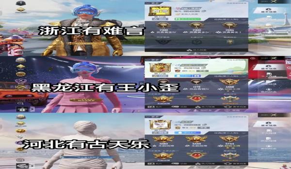 和平精英不同的辅助软件