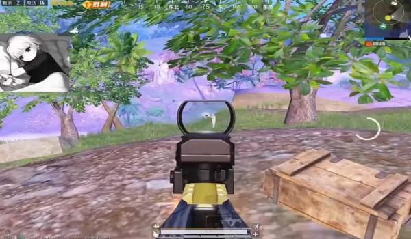 和平精英辅助是真是假啊