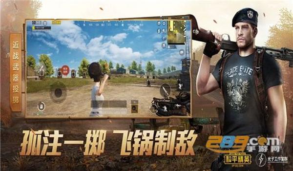 和平精英哪个辅助最便宜