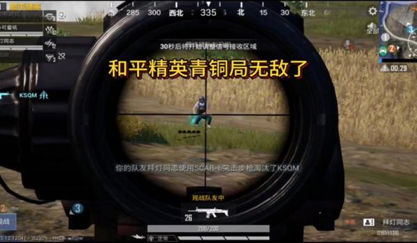 青铜辅助器和平精英哪个好 青铜辅助器和平精英哪个好