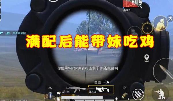 和平精英辅助带妹教学