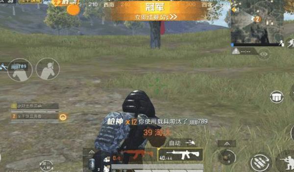 和平精英鸡腿辅助免登录